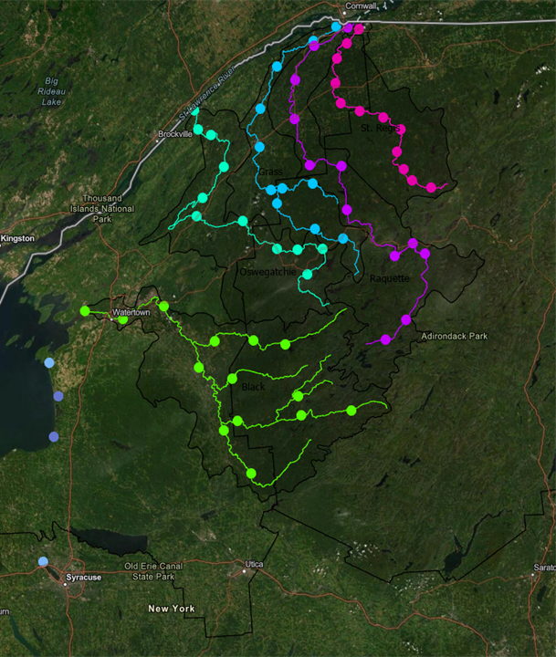 eDNA surveillance map of Lake Ontario tributaries