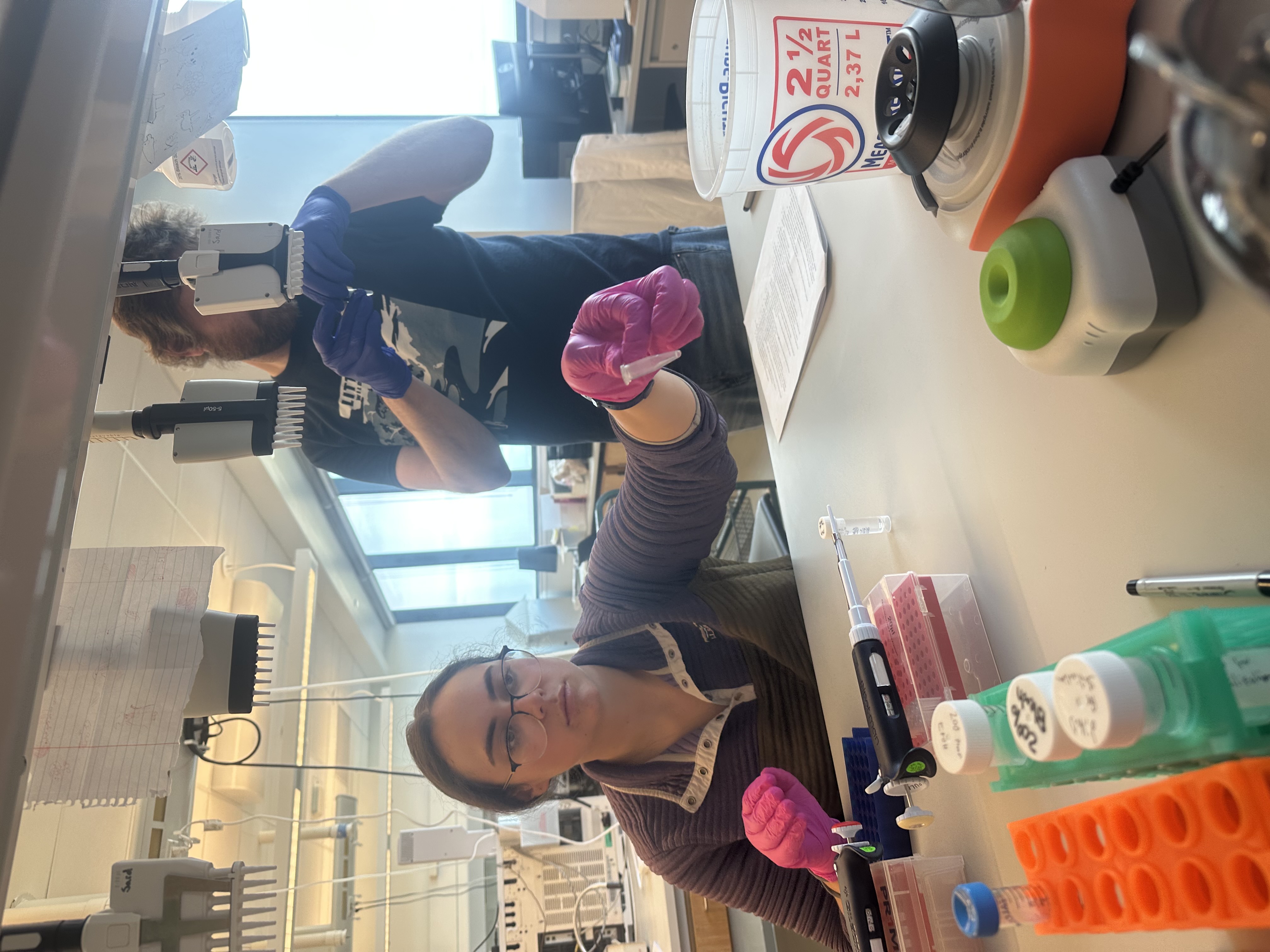 Maggie Carroll working on RADseq library prep