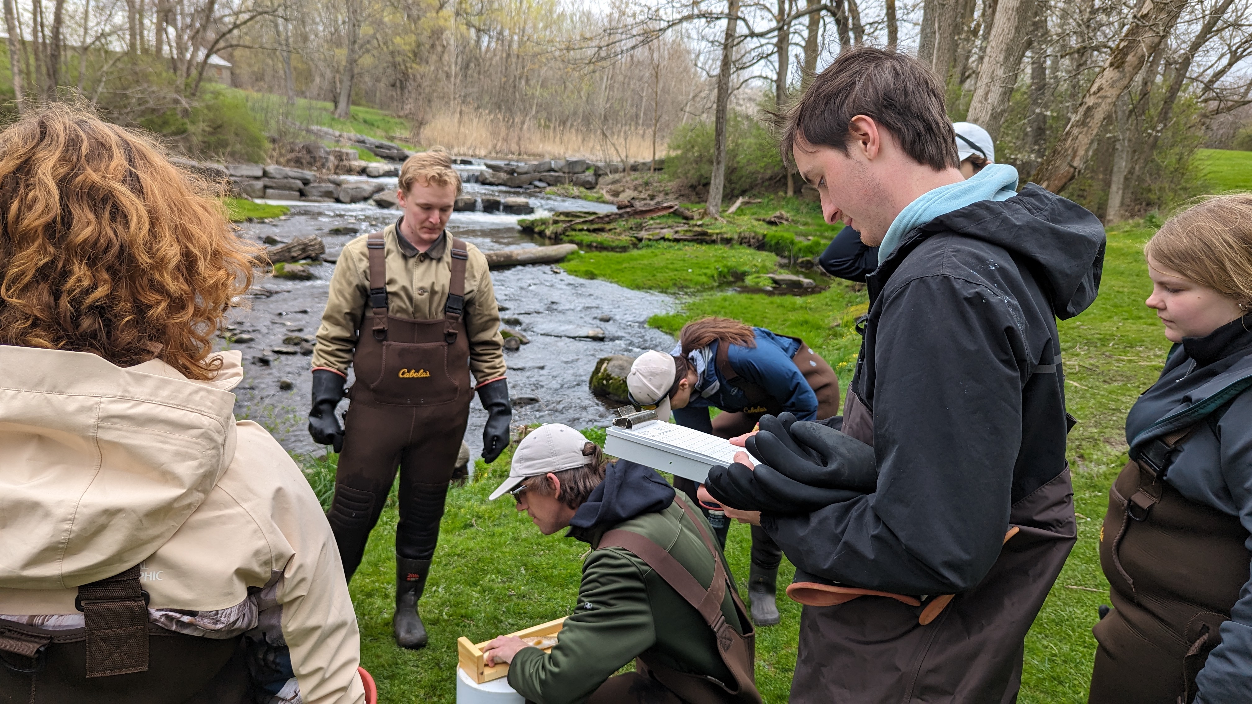 Current SUNY Oswego students working in the field in waders.