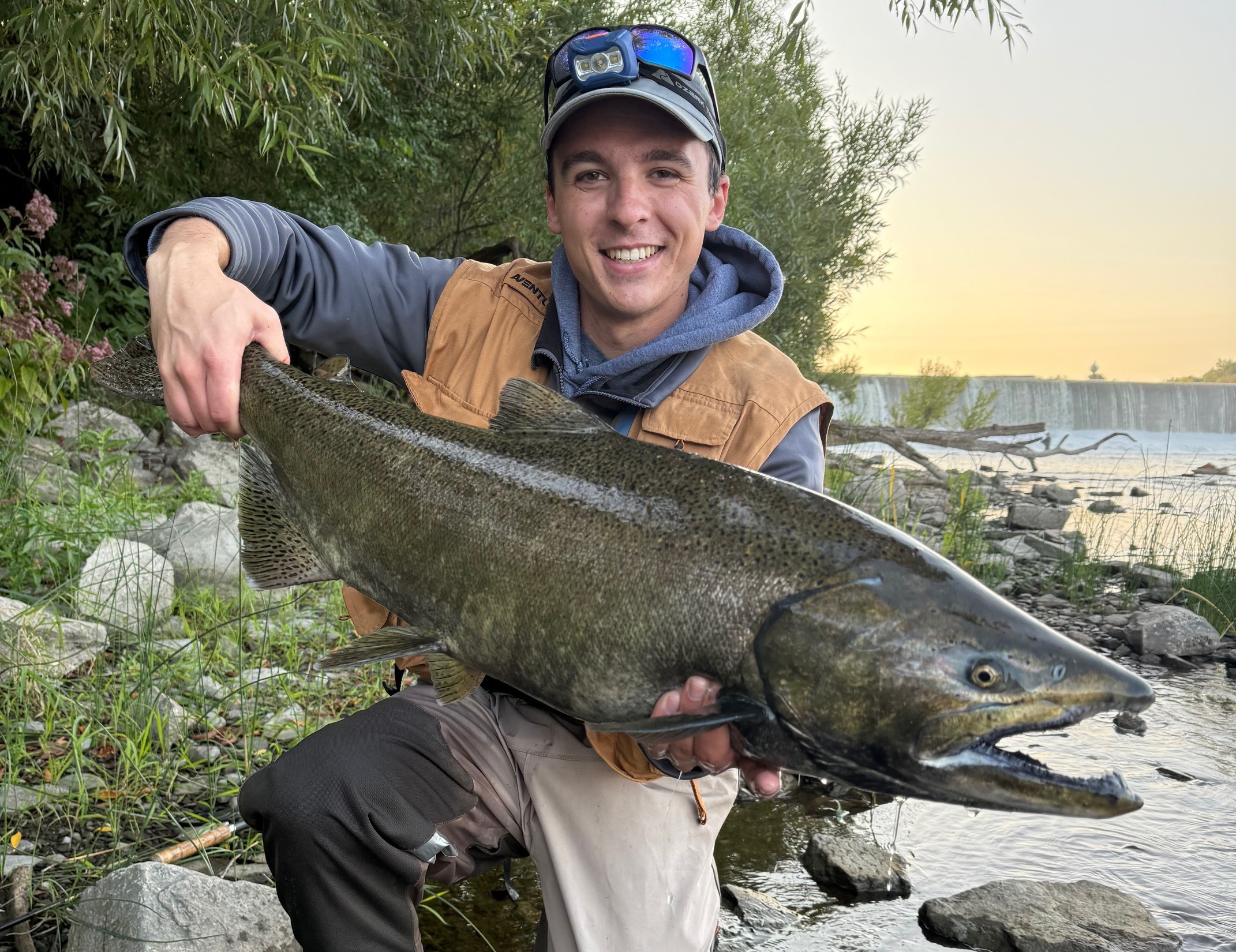 Undergraduate Spotlight