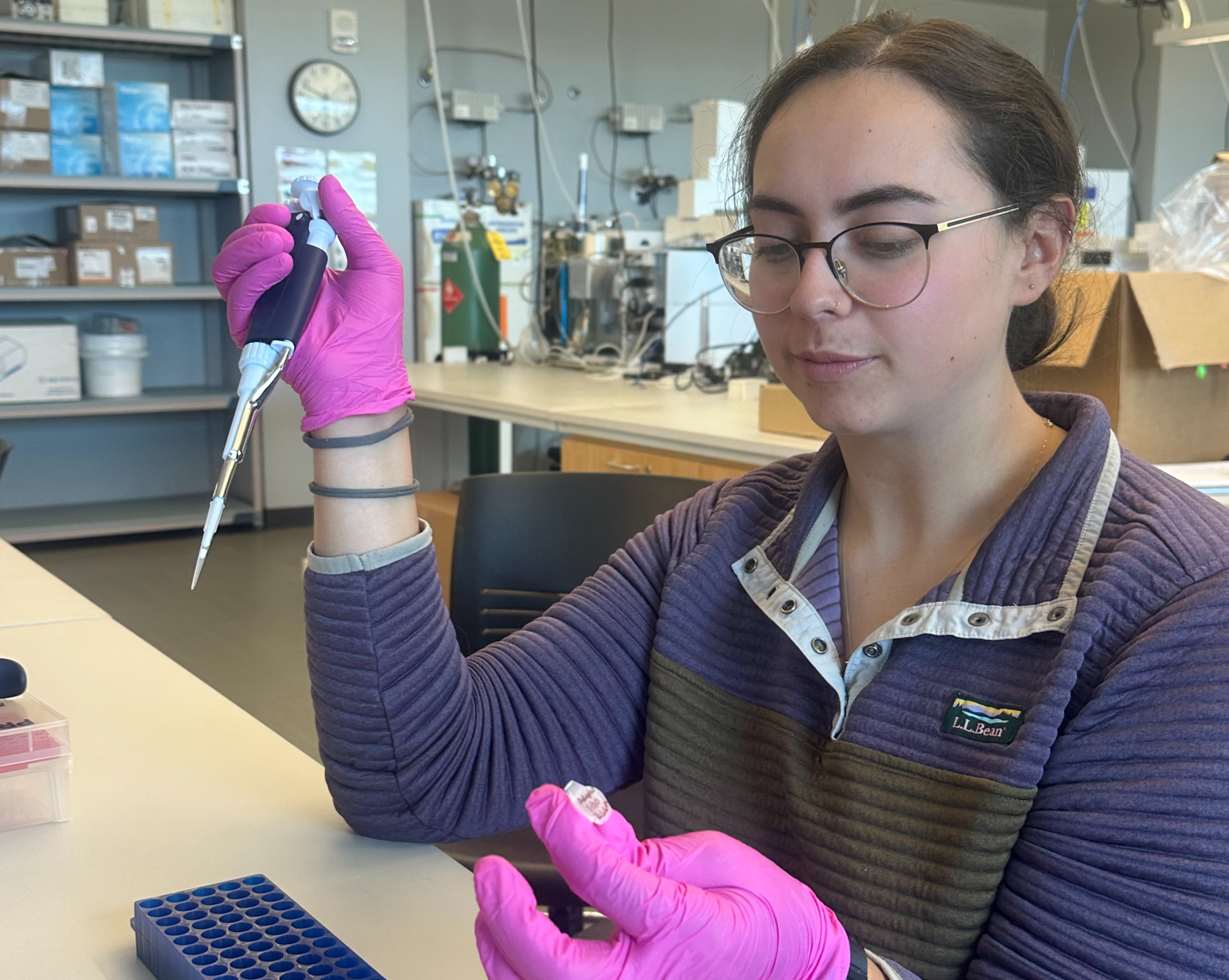 Maggie Carroll Research