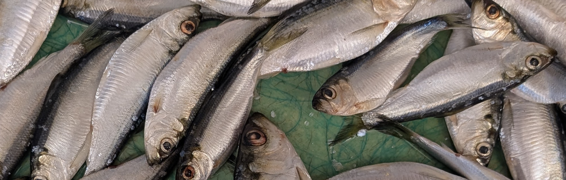 Research Landing Image