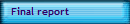 Final report