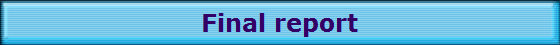 Final report