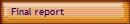 Final report