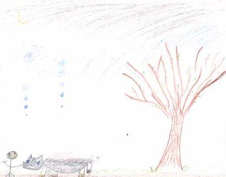 Your picture here