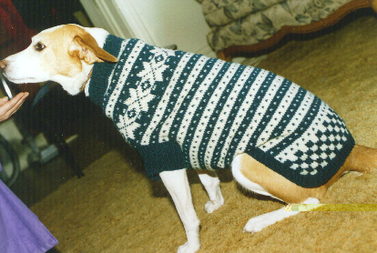 http://www.cs.oswego.edu/~ebozak/knit/photos/ginger2.jpg