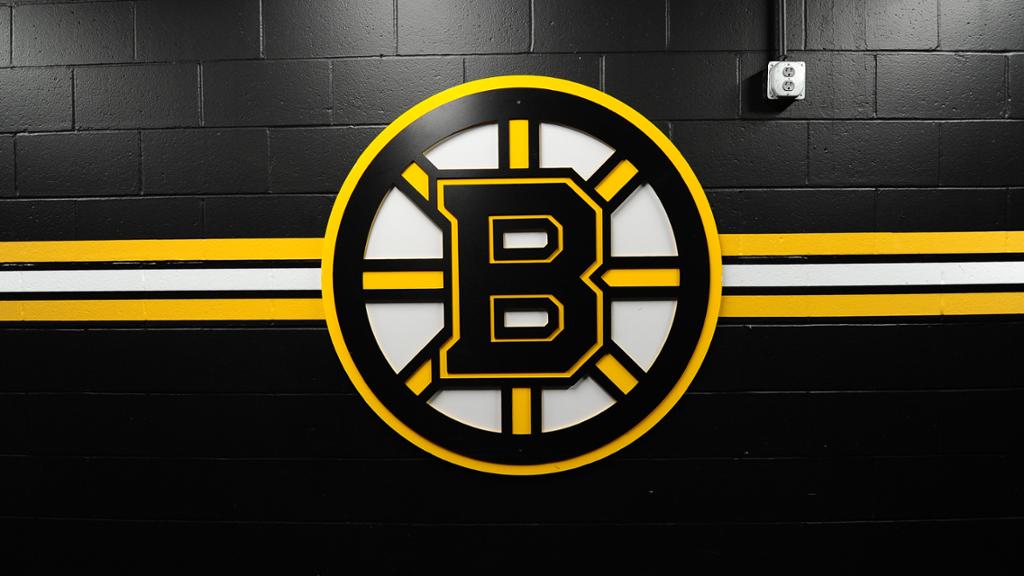 Boston Bruins Logo
